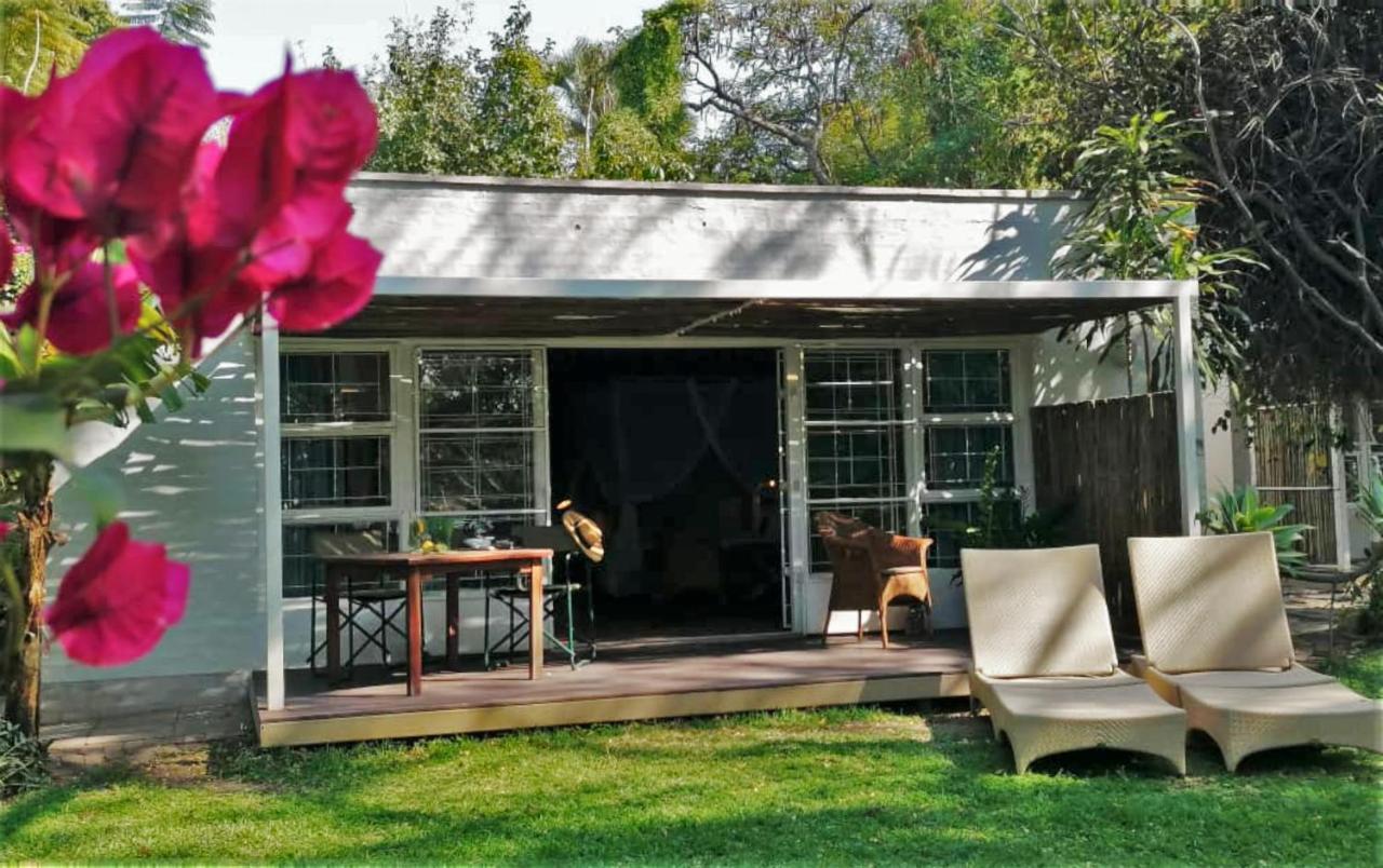 The Maun Studios Εξωτερικό φωτογραφία