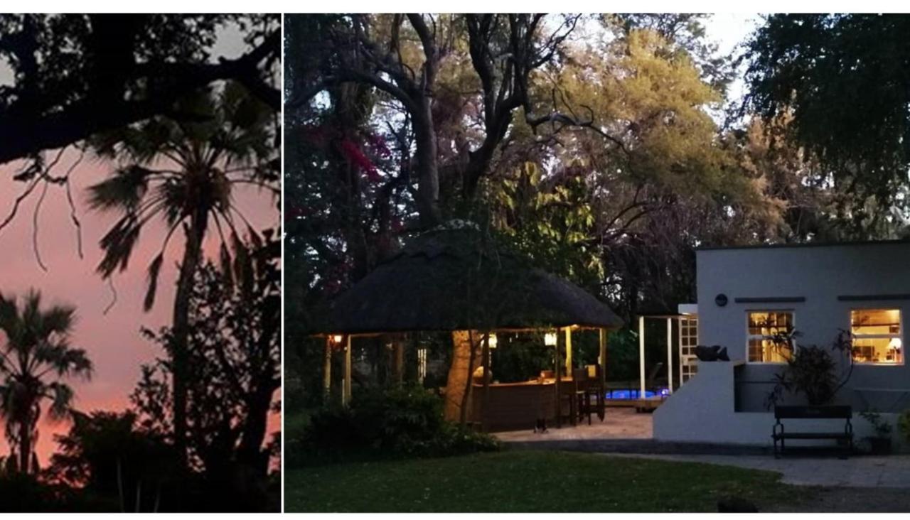 The Maun Studios Εξωτερικό φωτογραφία