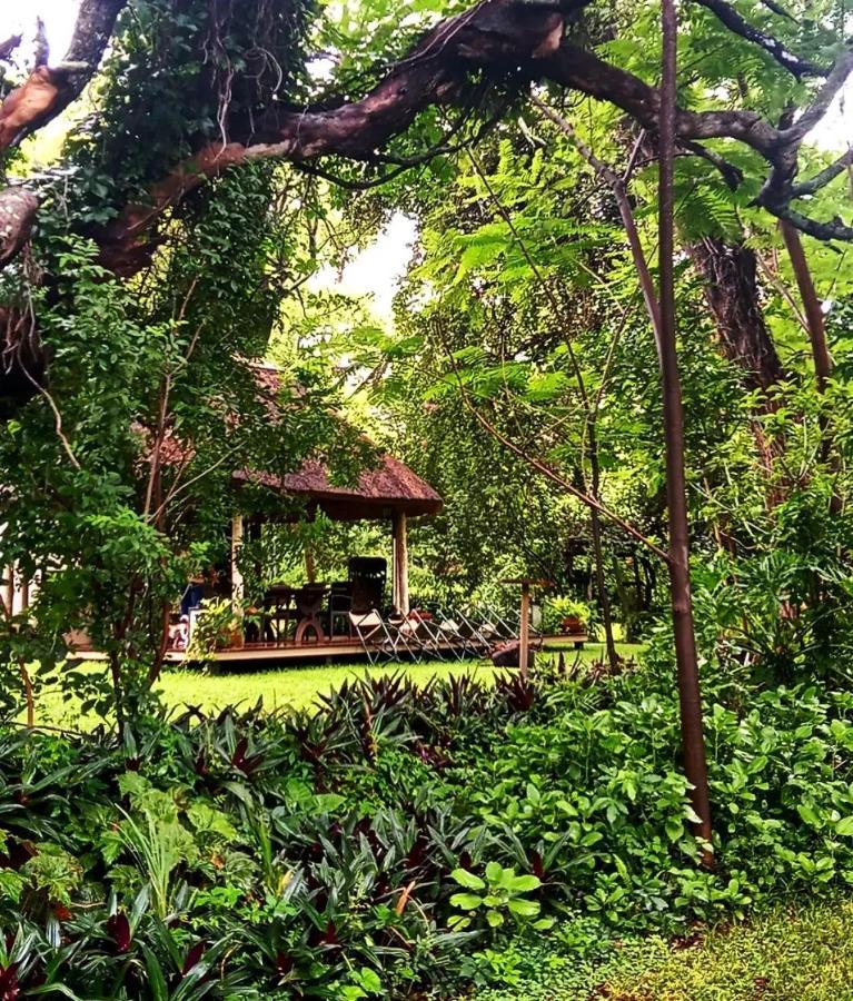 The Maun Studios Εξωτερικό φωτογραφία