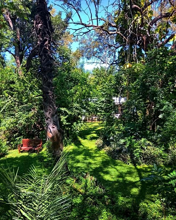 The Maun Studios Εξωτερικό φωτογραφία